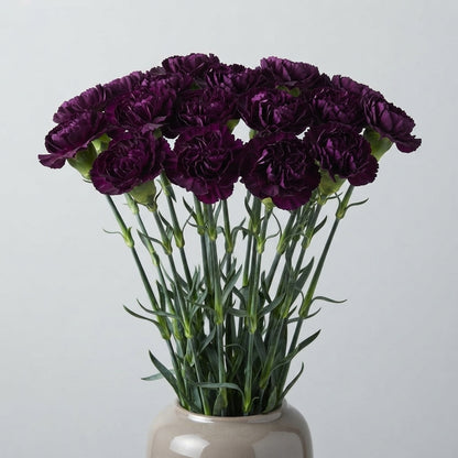 FeedSync:wholesale:9ee47ac47a264080dec6fed4f0d1d8fb6b58963d
