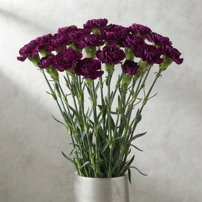 FeedSync:wholesale:2126c89f2808c8735f04f3b77762819240892bf0