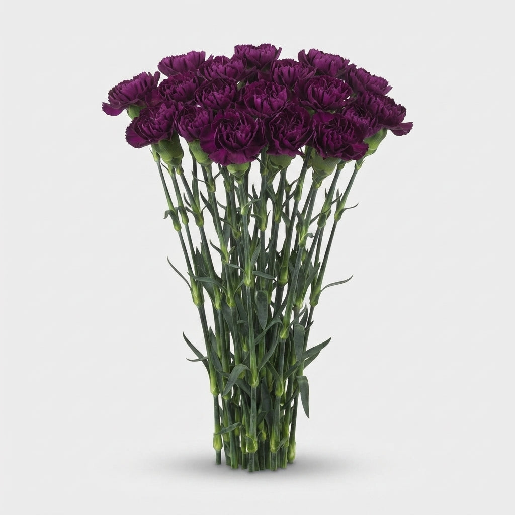 FeedSync:wholesale:f9c4f1934140bf631381a90b300a631637430d4f