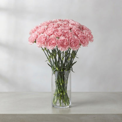 FeedSync:wholesale:0cbb92415e68e2368a82cc144195f8e1b4bb7e57