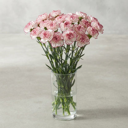 FeedSync:wholesale:6d577da9776feeb8b0d53ecfc9b18dd299cdaf3e