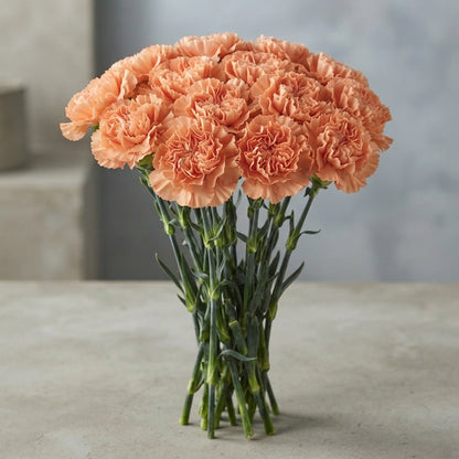 FeedSync:wholesale:73a5a5f735ed1f9963f5ec90557f387f5699f93a
