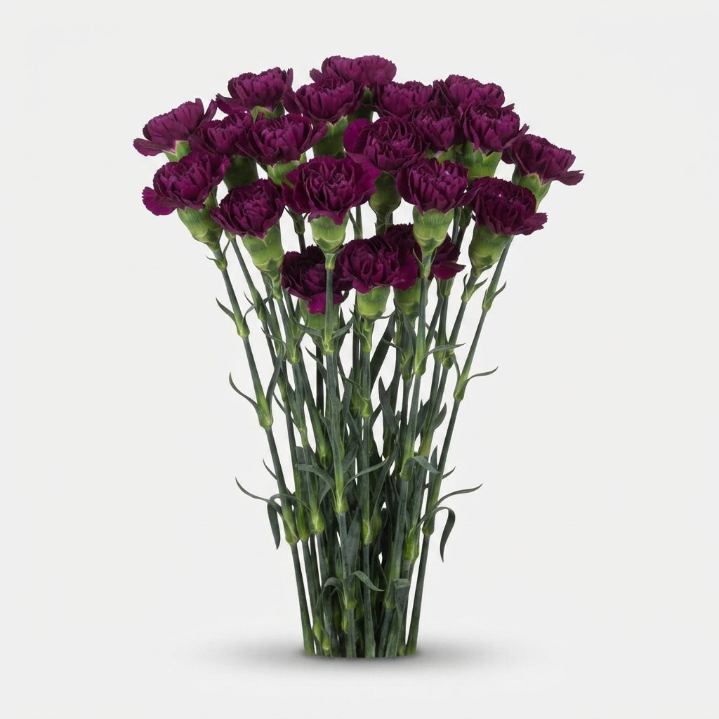 FeedSync:wholesale:18a525a141af096ba600eeb9f81df9d321ca30d1