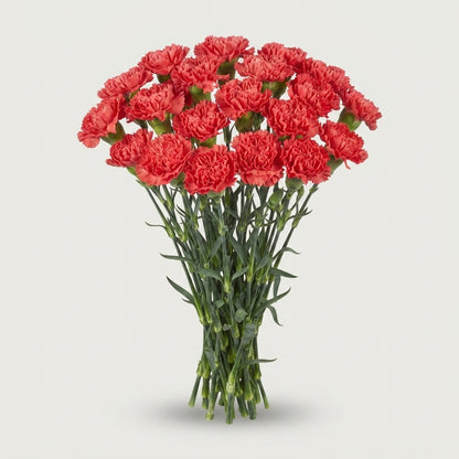 FeedSync:wholesale:98f217180f06ca008a08ef54575d7d9bb515fbfa