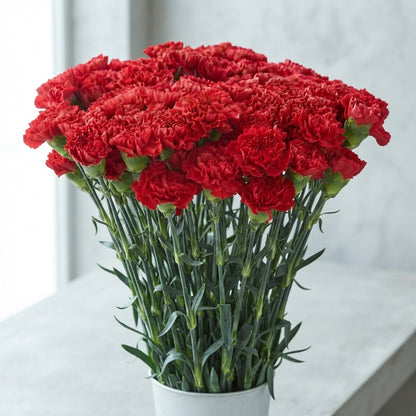 FeedSync:wholesale:8bb9f5fd915f5bc284d2afffa1bd7738203b6b3d