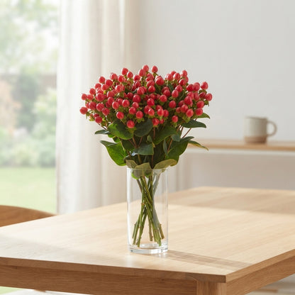 Red Hypericum ‘Coco Rio’ (Allrio) – 60cm Stems