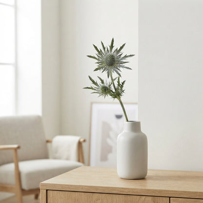 Eryngium ‘Sirius’ Thistle – 40cm Stems