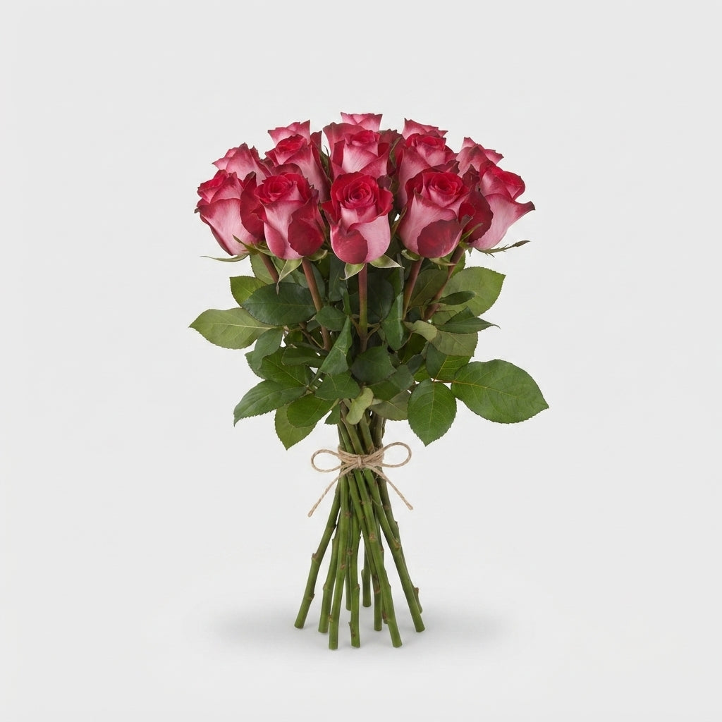 Rose - Rosa - Nicoletta