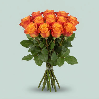 FeedSync:wholesale:ff97969ca24c883bed3d2da2485b2cd7b9db844f