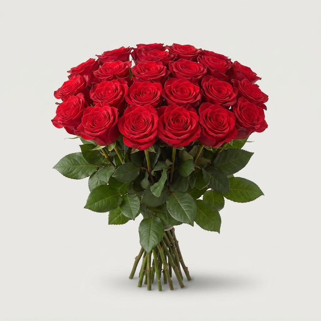 FeedSync:wholesale:191b7f3a5eb6f7becc5c6d7232826016d19acffa