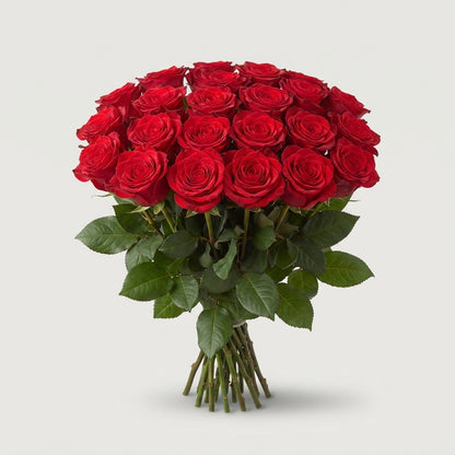 FeedSync:wholesale:191b7f3a5eb6f7becc5c6d7232826016d19acffa