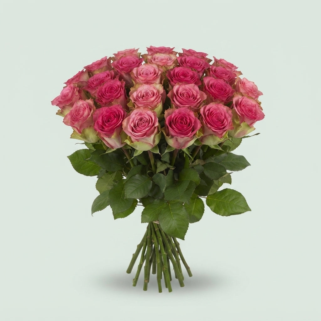 FeedSync:wholesale:f927842474b61bb1bed0dec81d06eabb1448c52e