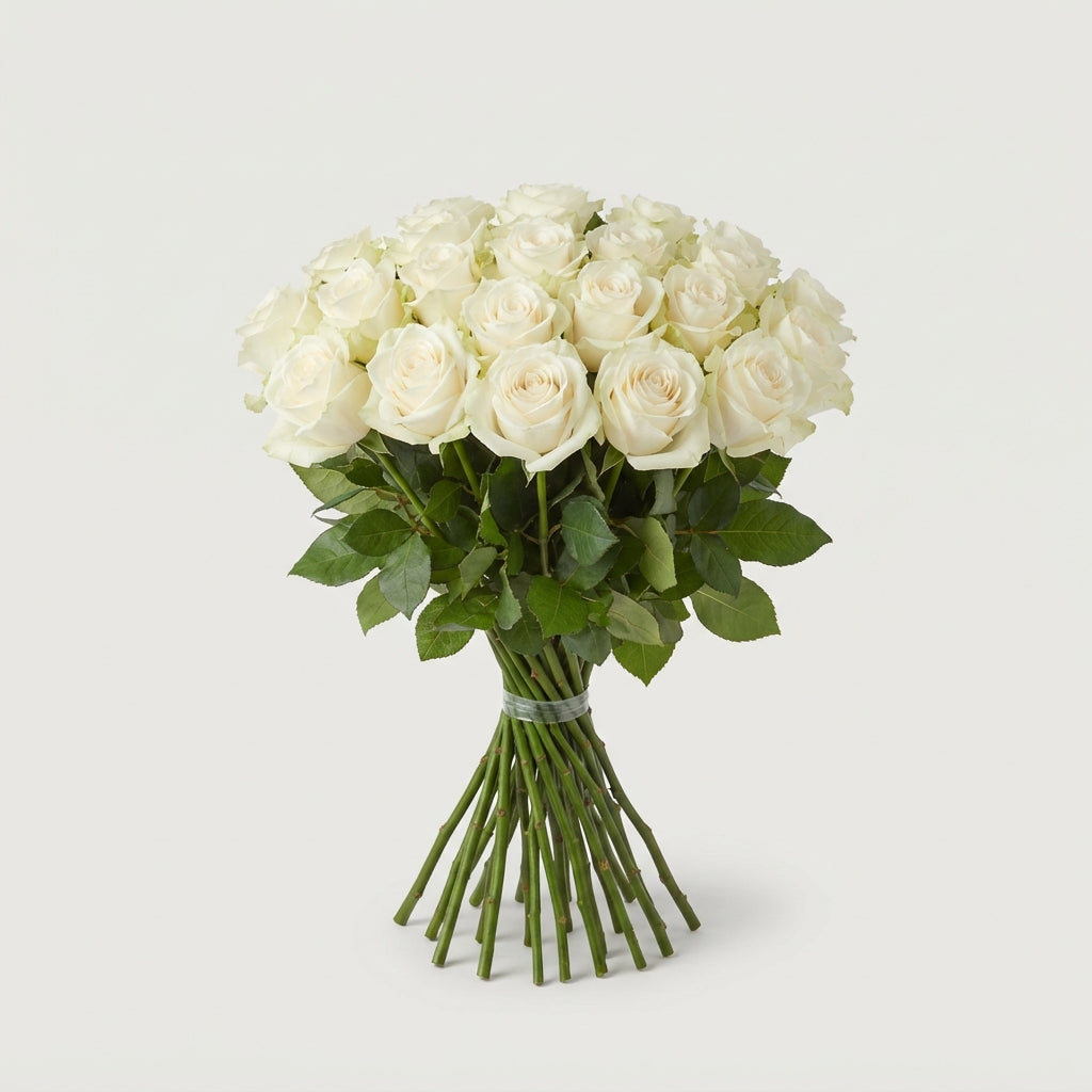 FeedSync:wholesale:625cdb3a83b611cba043ff40bf6400ee598961c5
