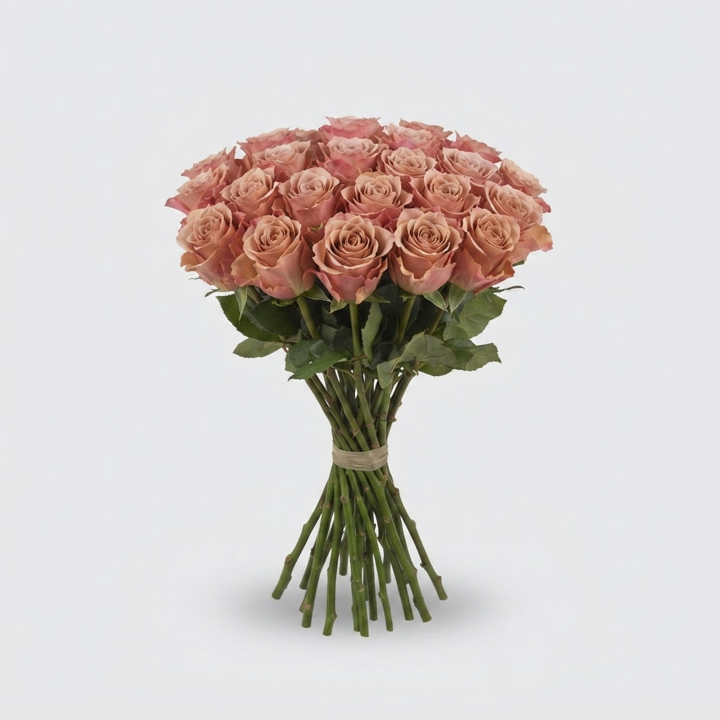 FeedSync:wholesale:77f6e21b89567de62e14f3b4e2208be51c470a6d