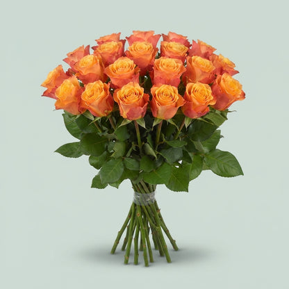 FeedSync:wholesale:3aa599fa106c34b82fcaef1c2411eb66f26b3a73