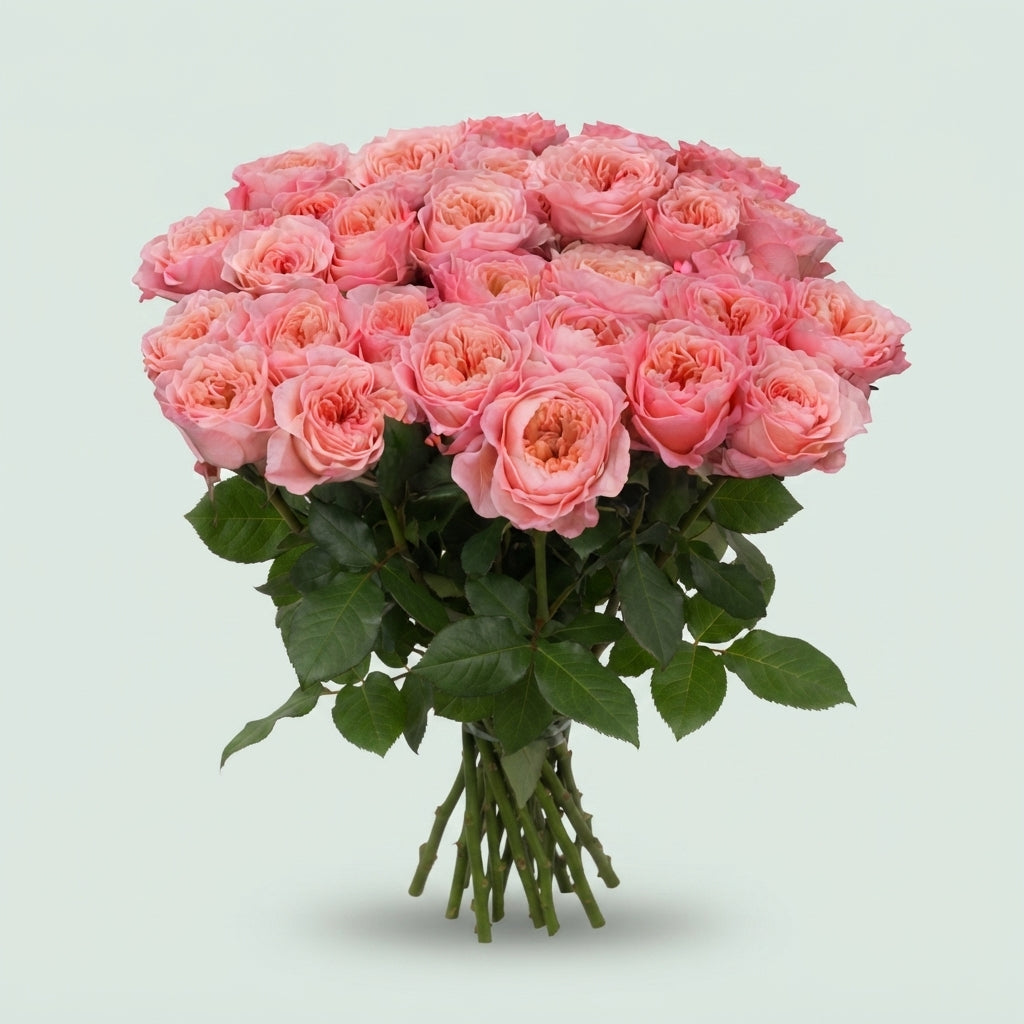 FeedSync:wholesale:4674401c545c6736753bd27866259b9a4fbc5d21
