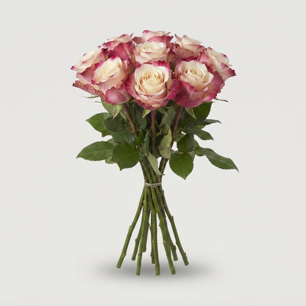 FeedSync:wholesale:a8854d95869dc1c597423c684765f35a92a9bb31
