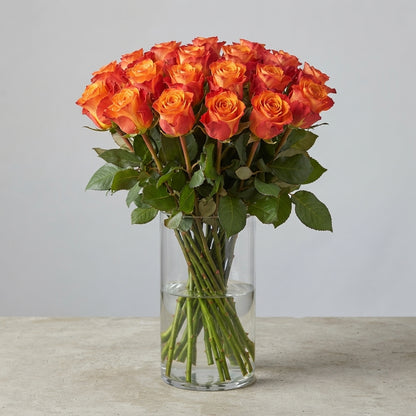 FeedSync:wholesale:b7e9c0cf5ee4b99d3cbcda3cdf0c3553dbf512c1