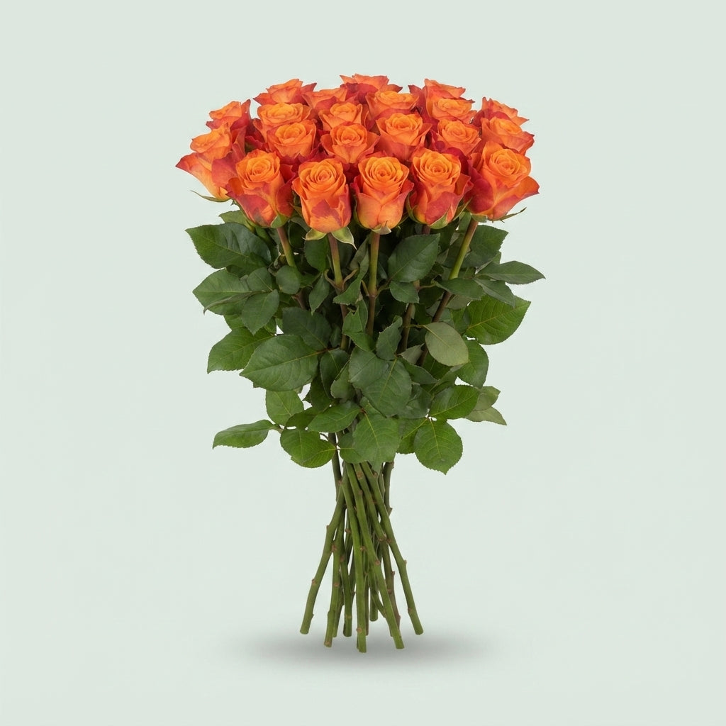 FeedSync:wholesale:2bea9486da89eb63c0350aa58b3f755255dcfd51