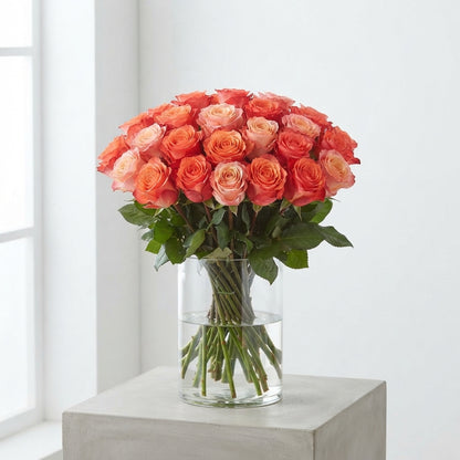 FeedSync:wholesale:9ea134be4831a3751534e174f17288f81f92fcff