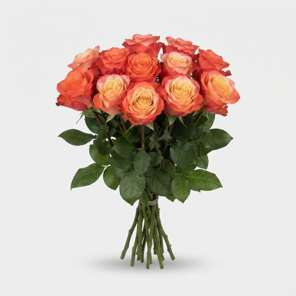 FeedSync:wholesale:3b7e1d24aee8ec22a0acbadf002c5fb8042ef46e