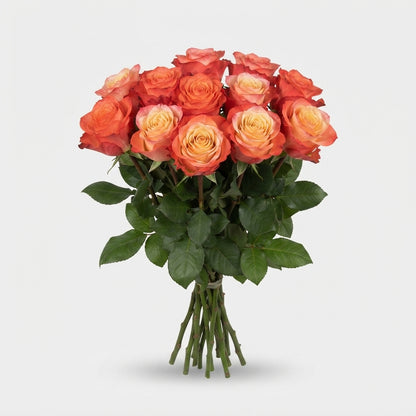 FeedSync:wholesale:3b7e1d24aee8ec22a0acbadf002c5fb8042ef46e