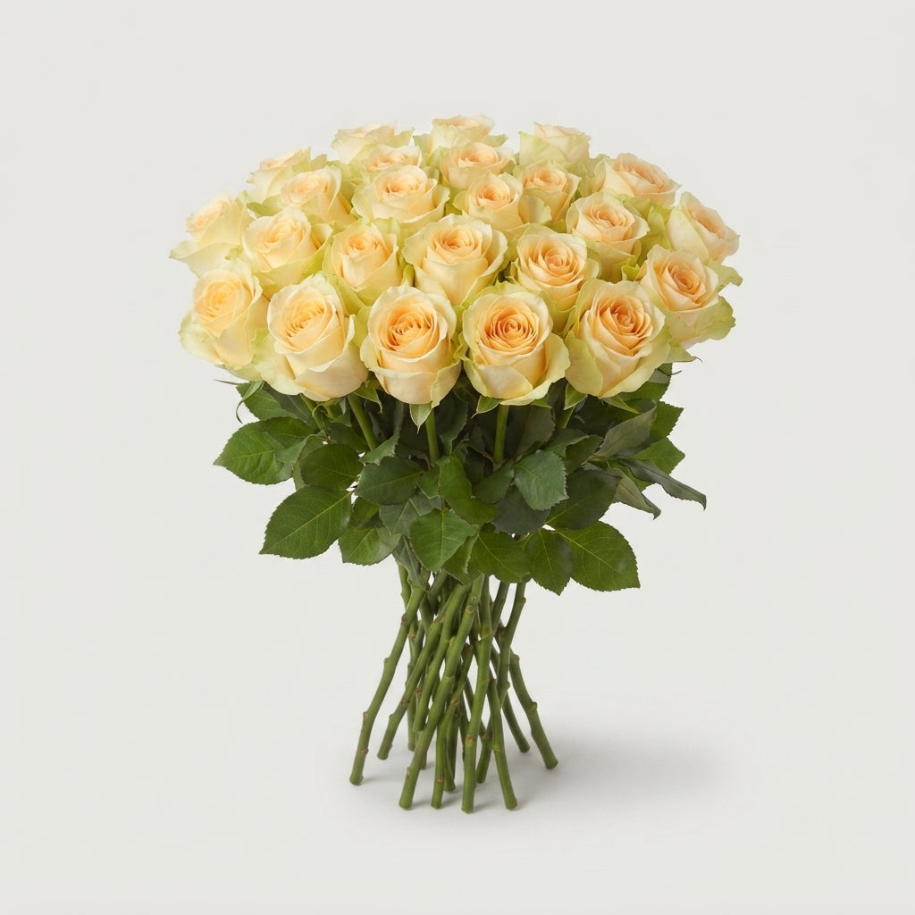 FeedSync:wholesale:1508d28708b8c69e0a5d3fb3bb459c72932c0a62