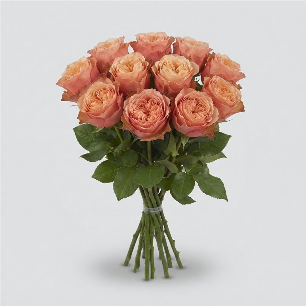 FeedSync:wholesale:ce577e8dbb3a31a6e33dd4d69e7e17de62733067