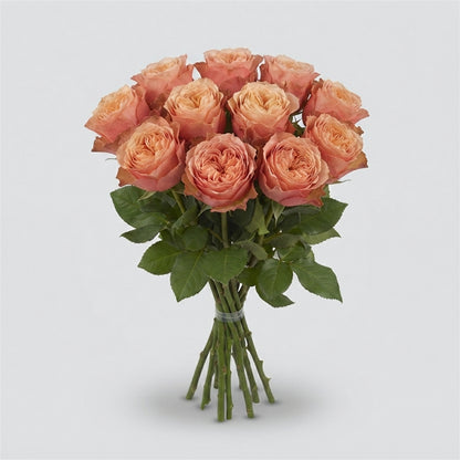 FeedSync:wholesale:ce577e8dbb3a31a6e33dd4d69e7e17de62733067