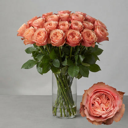 FeedSync:wholesale:c9cd92a68f63e1a025ec5219ad2d329358a5e67c