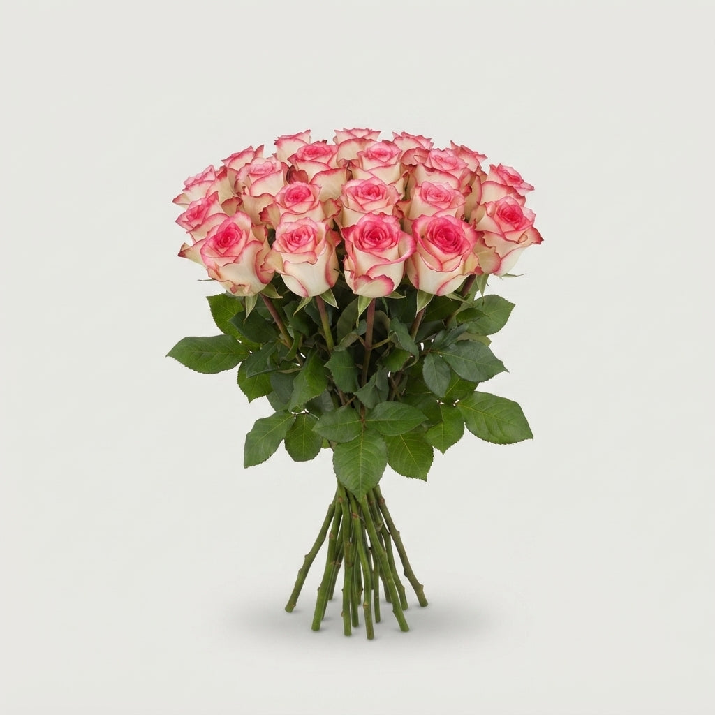 FeedSync:wholesale:2d13752133fe0219f815a9509e16bfeff99c738e