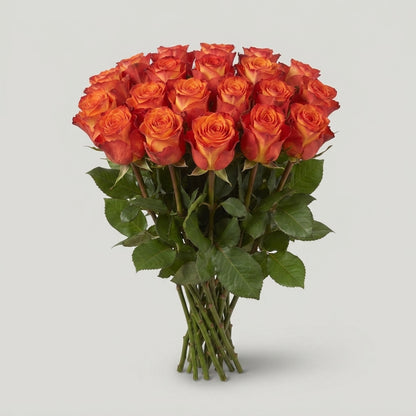 FeedSync:wholesale:ce0e705397049aeead0349e09afdb9bf7d26cbaf