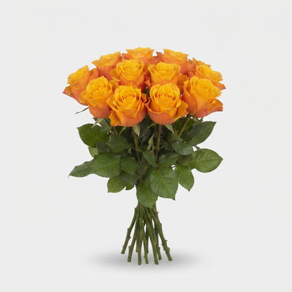 Rose - Rosa - Heliana Orange+