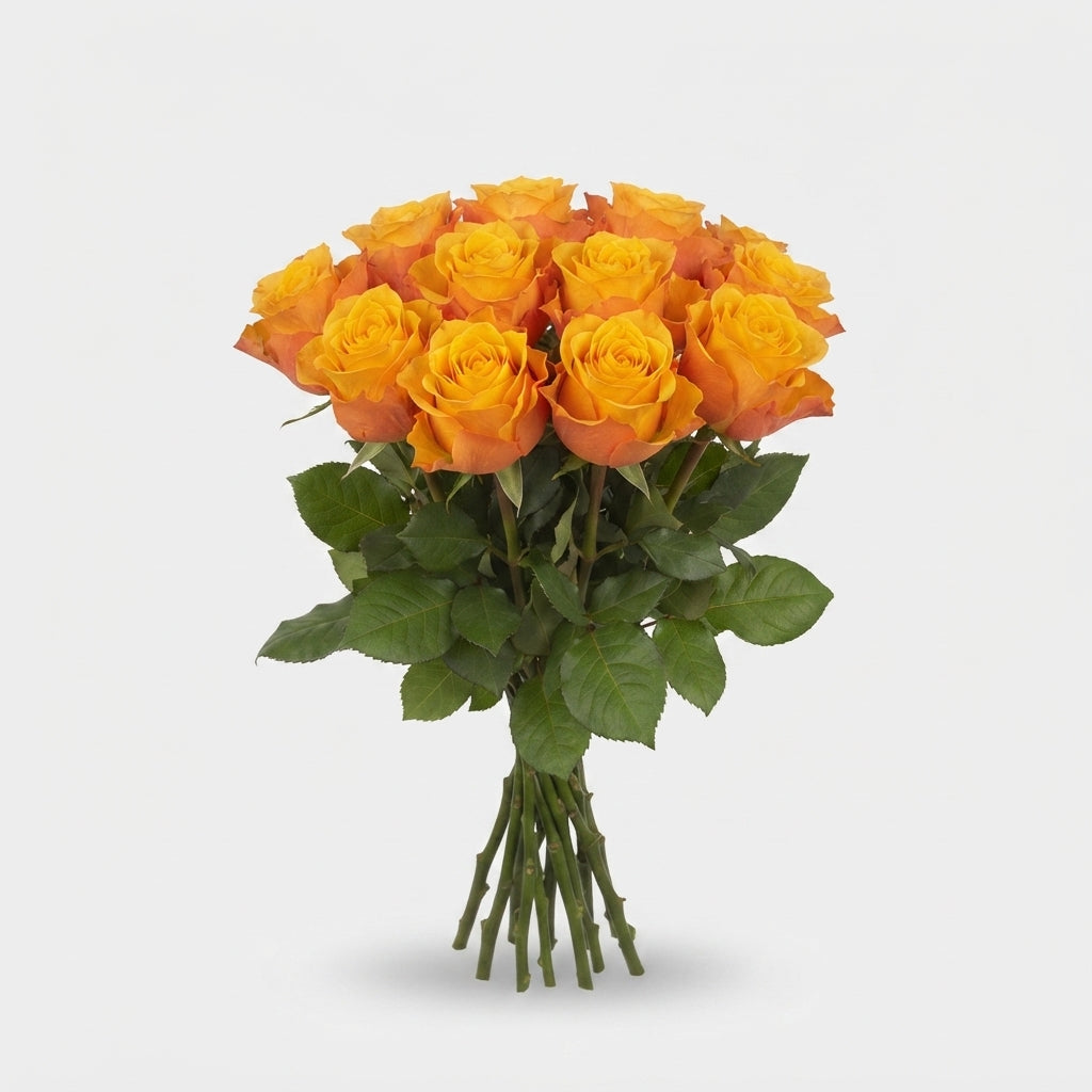 FeedSync:wholesale:1358da23d12e6b1420ae94fd0101398227ca5241