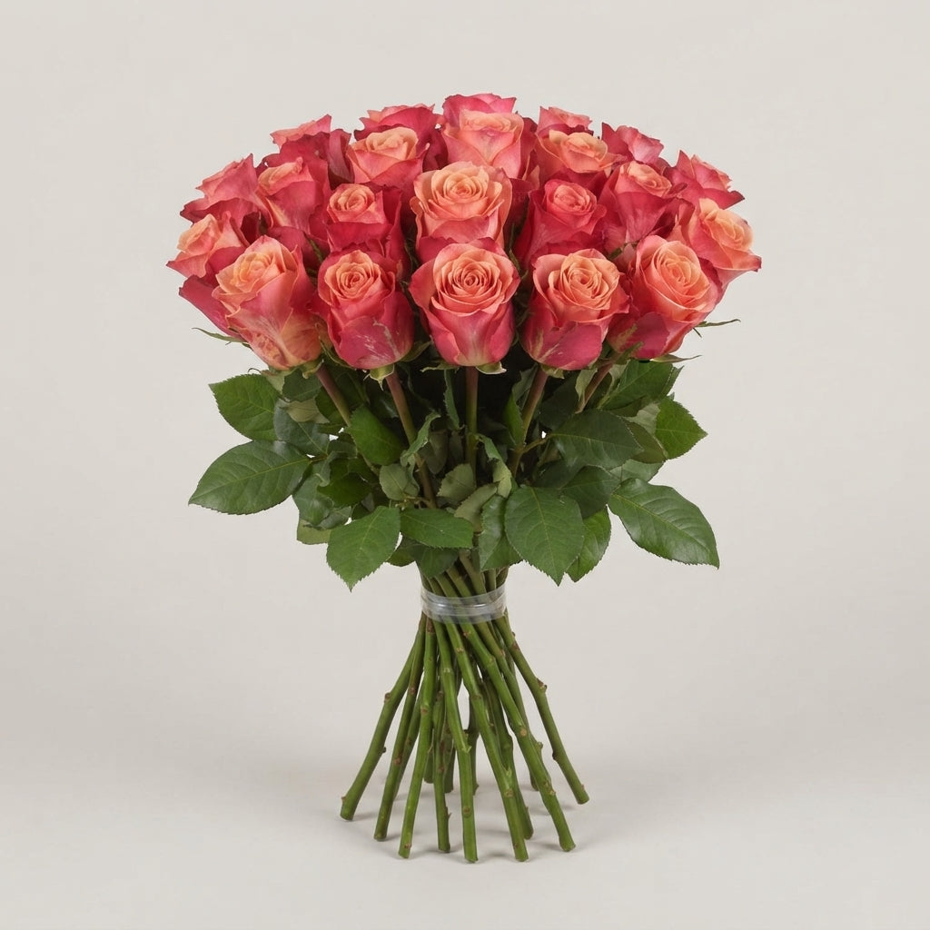 Rose - Rosa - Helene
