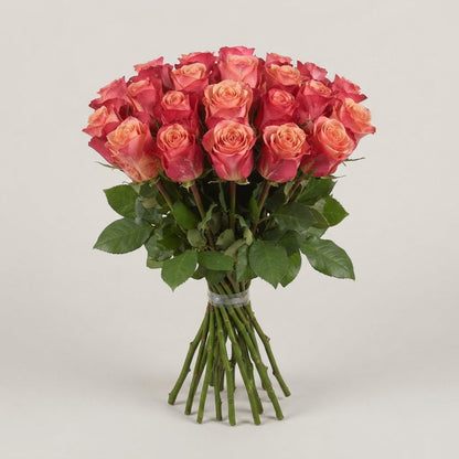 Rose - Rosa - Helene