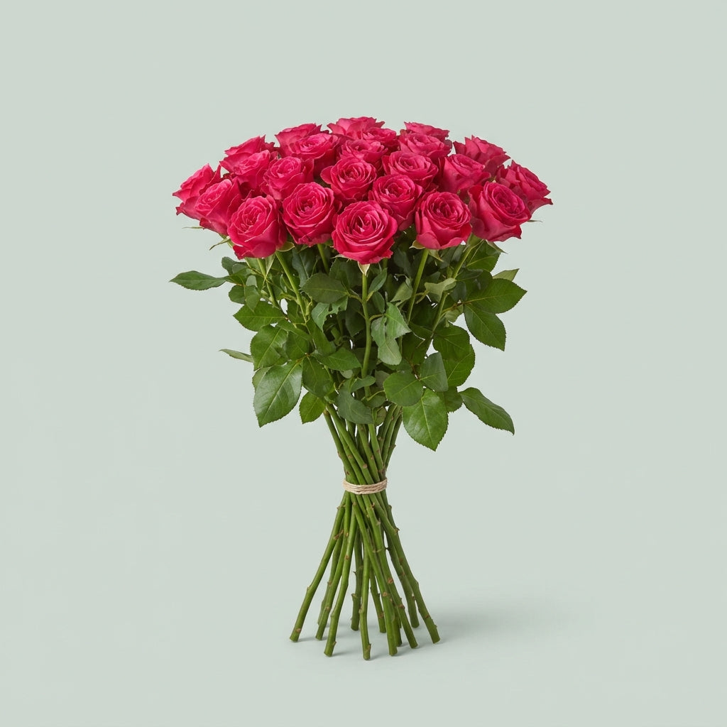 FeedSync:wholesale:7a24208308e09d2059226b443d93d77bafb4467c
