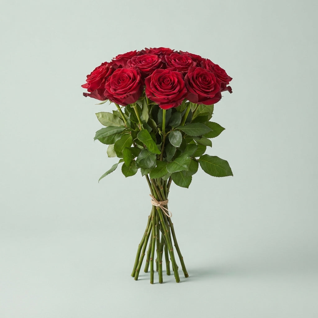 FeedSync:wholesale:f9d48c09b9c465ba6bdaa8c593b40fafb0500b36