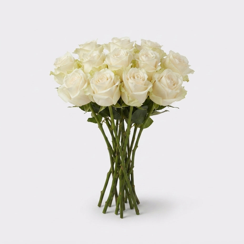 FeedSync:wholesale:cc672e69424d3b9282587899a7456d6f3be3e842