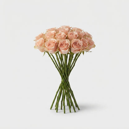 Rose - Rosa - Doris Day