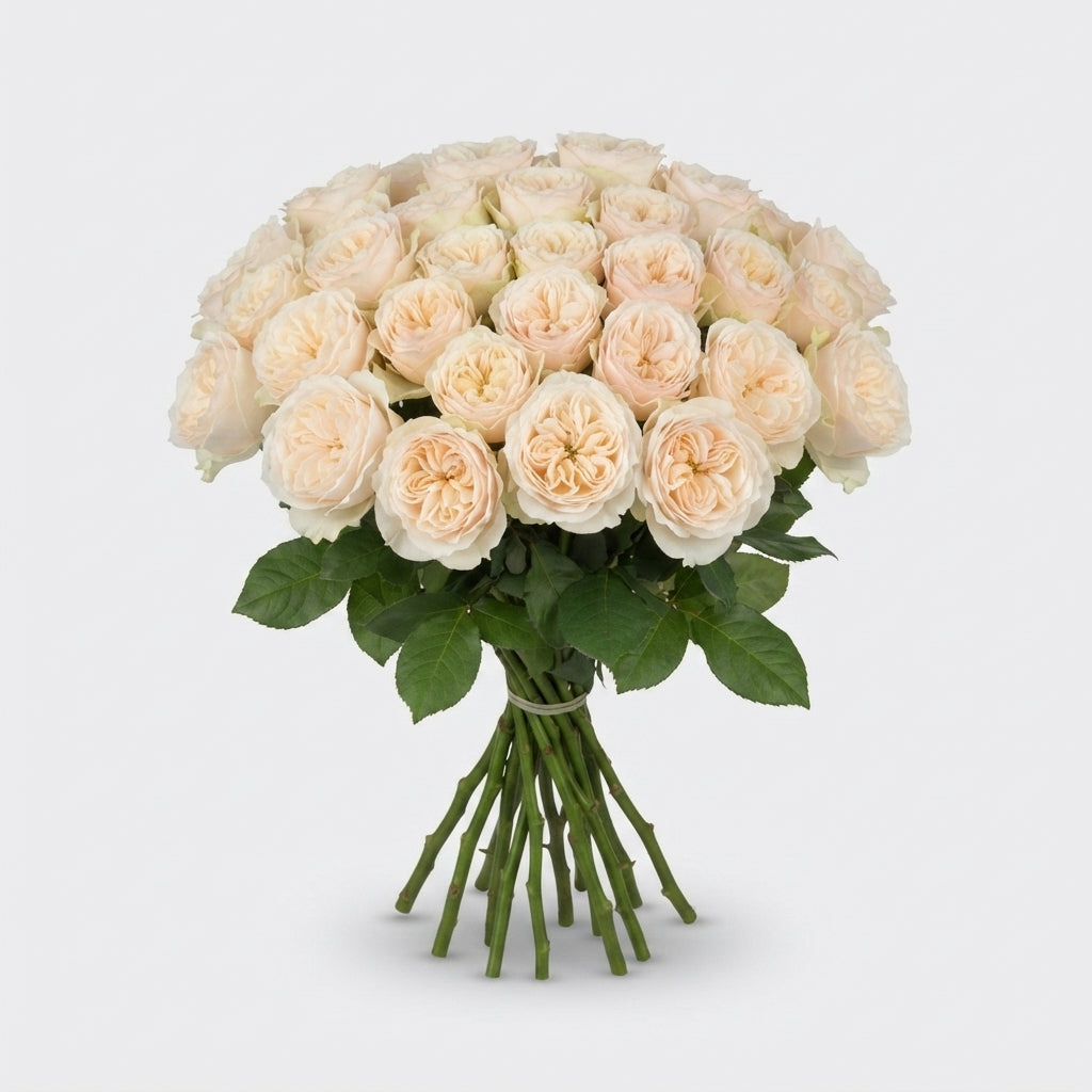 FeedSync:wholesale:acfc3eb97349bf4e1c514a008789b9b8b596667c