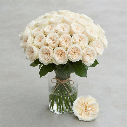 FeedSync:wholesale:d4b025d434f9435238a4bd4e72b0cf661563298b