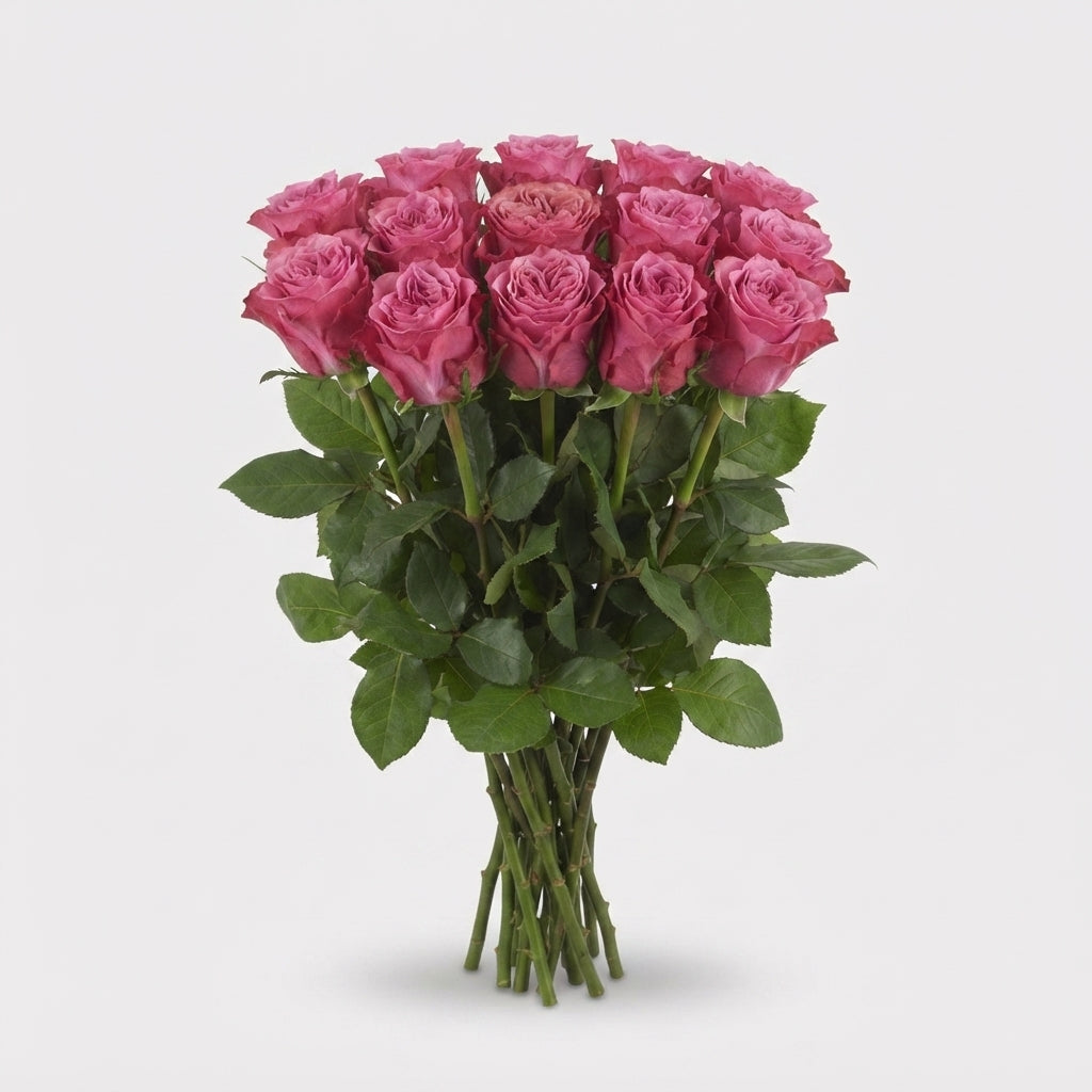 FeedSync:wholesale:217426a04db506c30d61718ad0910b1f9a86f518