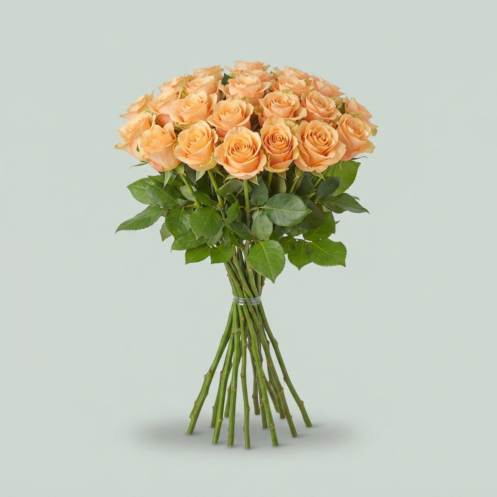FeedSync:wholesale:7f86b715ed5ed05b78dad88c5d4d9955de83f7aa
