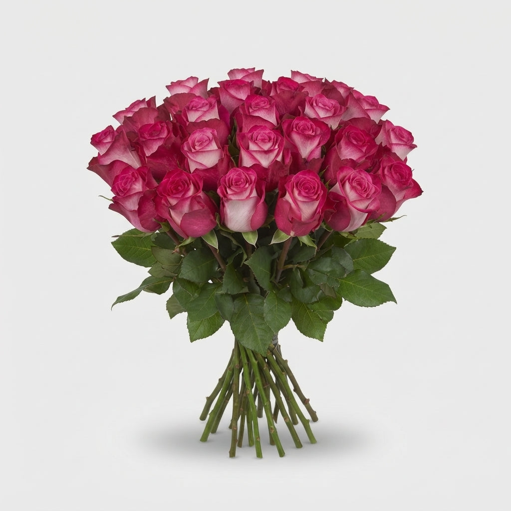 Rose - Rosa - Large Flowered Carousel