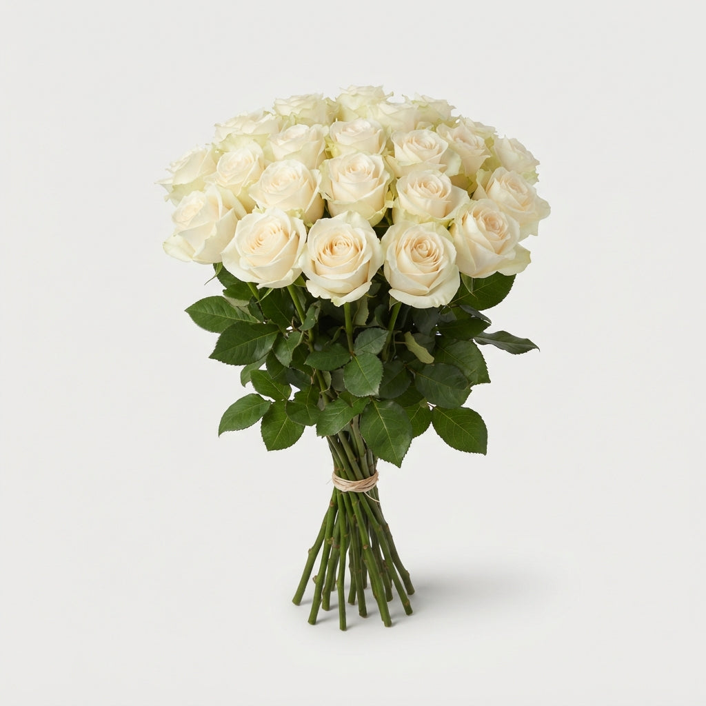 FeedSync:wholesale:b276973663c4af80bfa85d94bf7be7e5b5e86a6d