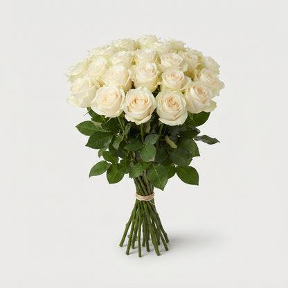 FeedSync:wholesale:b276973663c4af80bfa85d94bf7be7e5b5e86a6d