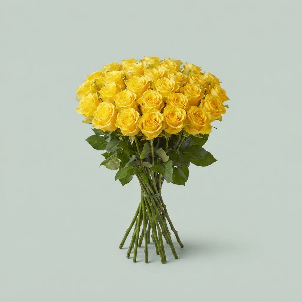 FeedSync:wholesale:d6543856cc693ba6cf5804ddf9d8fb8dbaa7c4e0