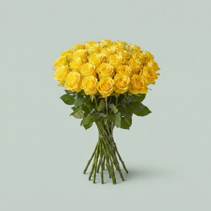 FeedSync:wholesale:d6543856cc693ba6cf5804ddf9d8fb8dbaa7c4e0