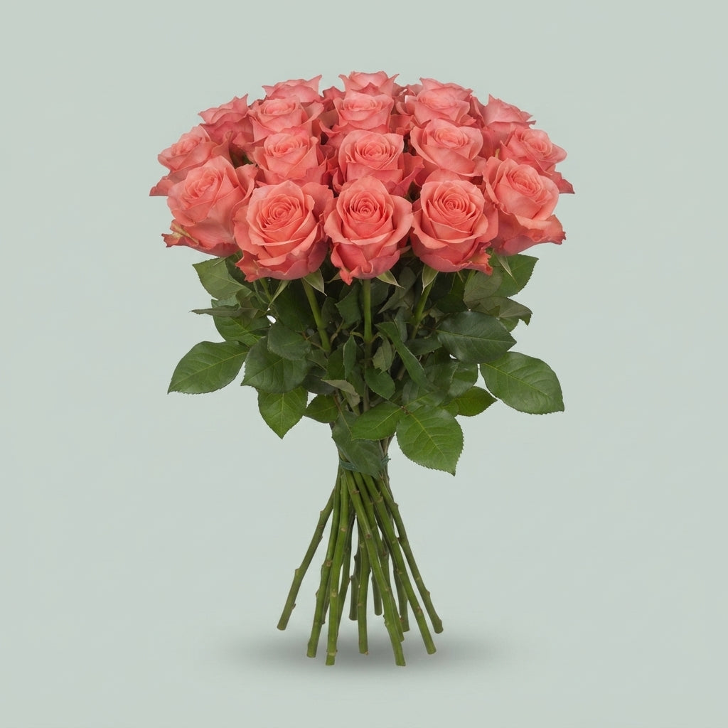 FeedSync:wholesale:98811466ef698c04a66ecb285d07c30d5c689b93